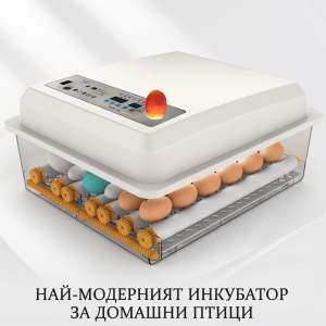 Многофункционален автоматичен инкубатор за 48 яйца – интелигентно решение за висока люпимост